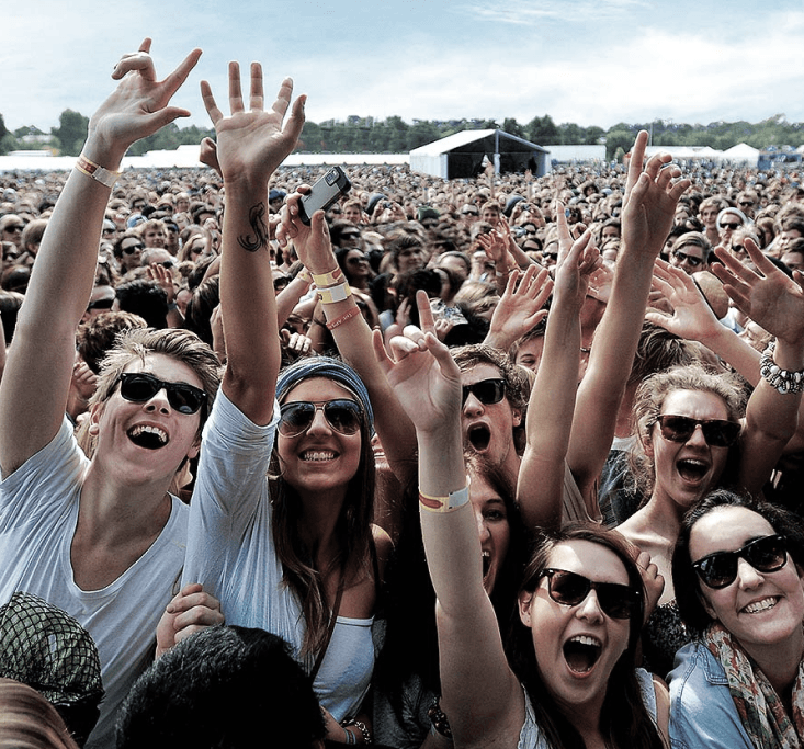 Happy people with their hands in the air in the front row of a crowd at a music festival